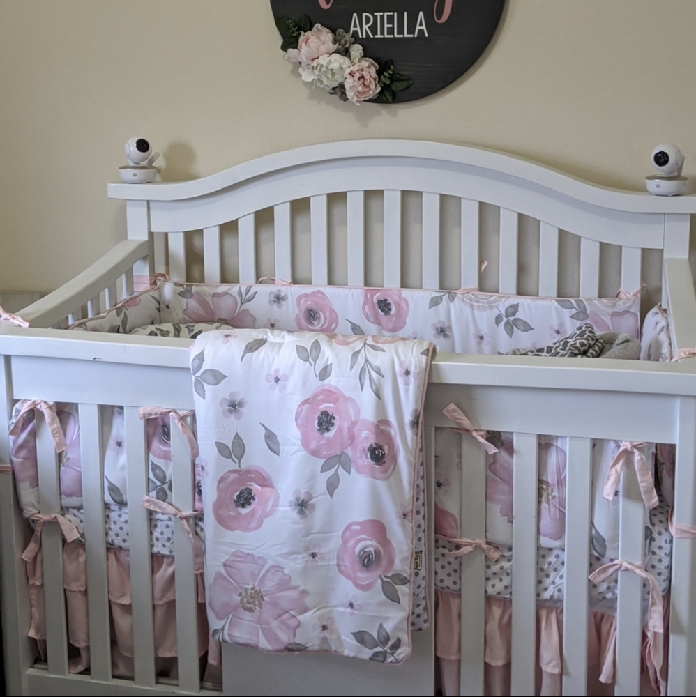 Sweet Jojo designs 10 piece Crib set